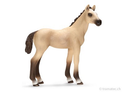 Schleich Achal Tekkiner Fohlen