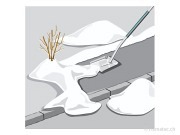 Image 2 de 5