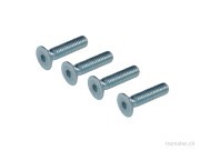 Oregon JET-FIT Aluminiumkopf Schrauben für 2-Fadenkopf